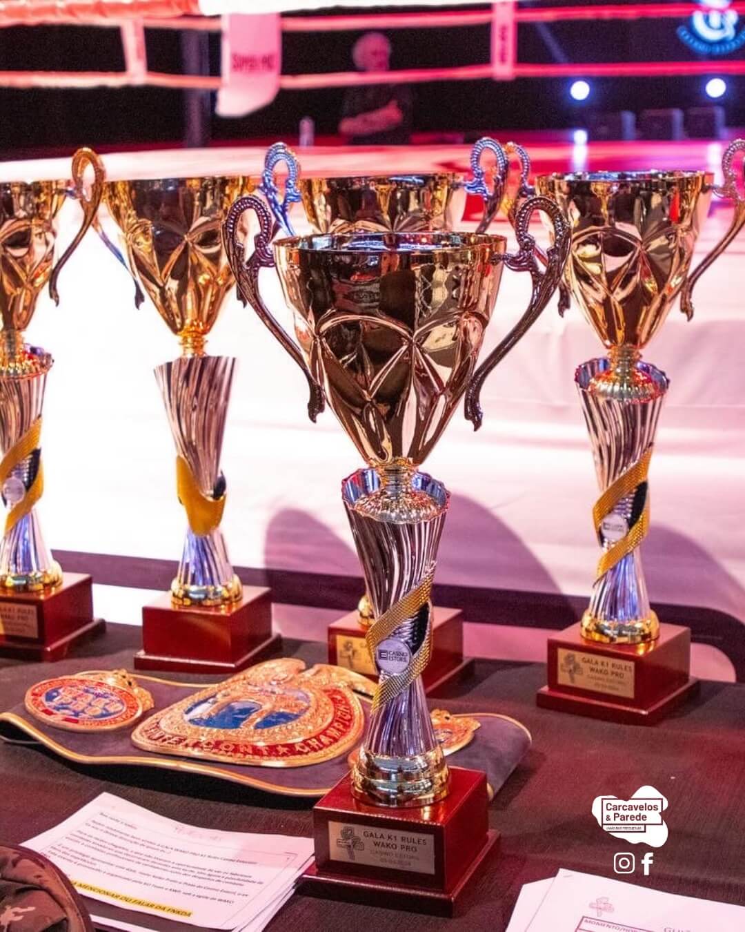 Agenda_ Fight Nighy 1 (4)