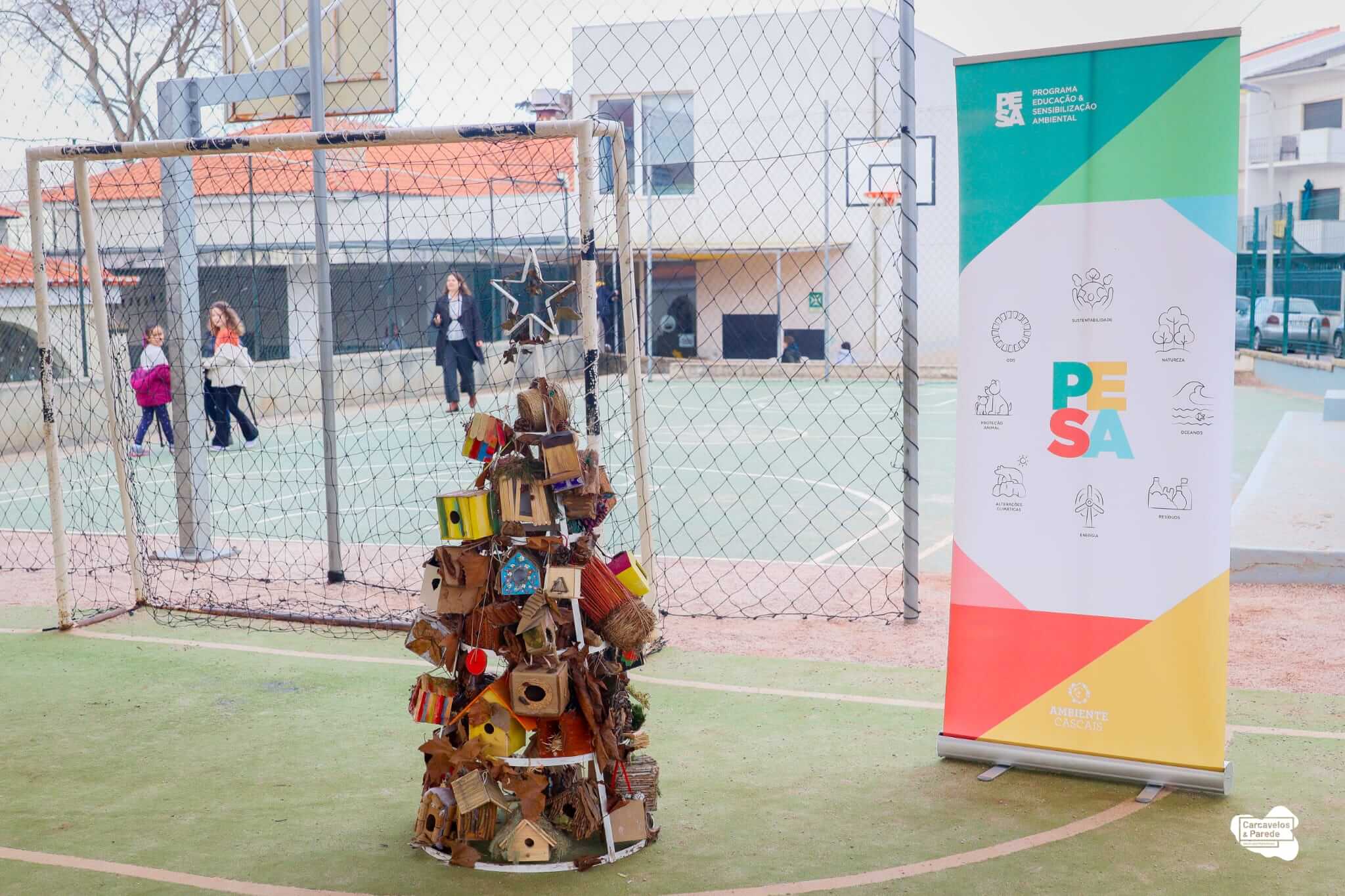 EB Afonso do Paço vence Eco-Natal 2025 - 04
