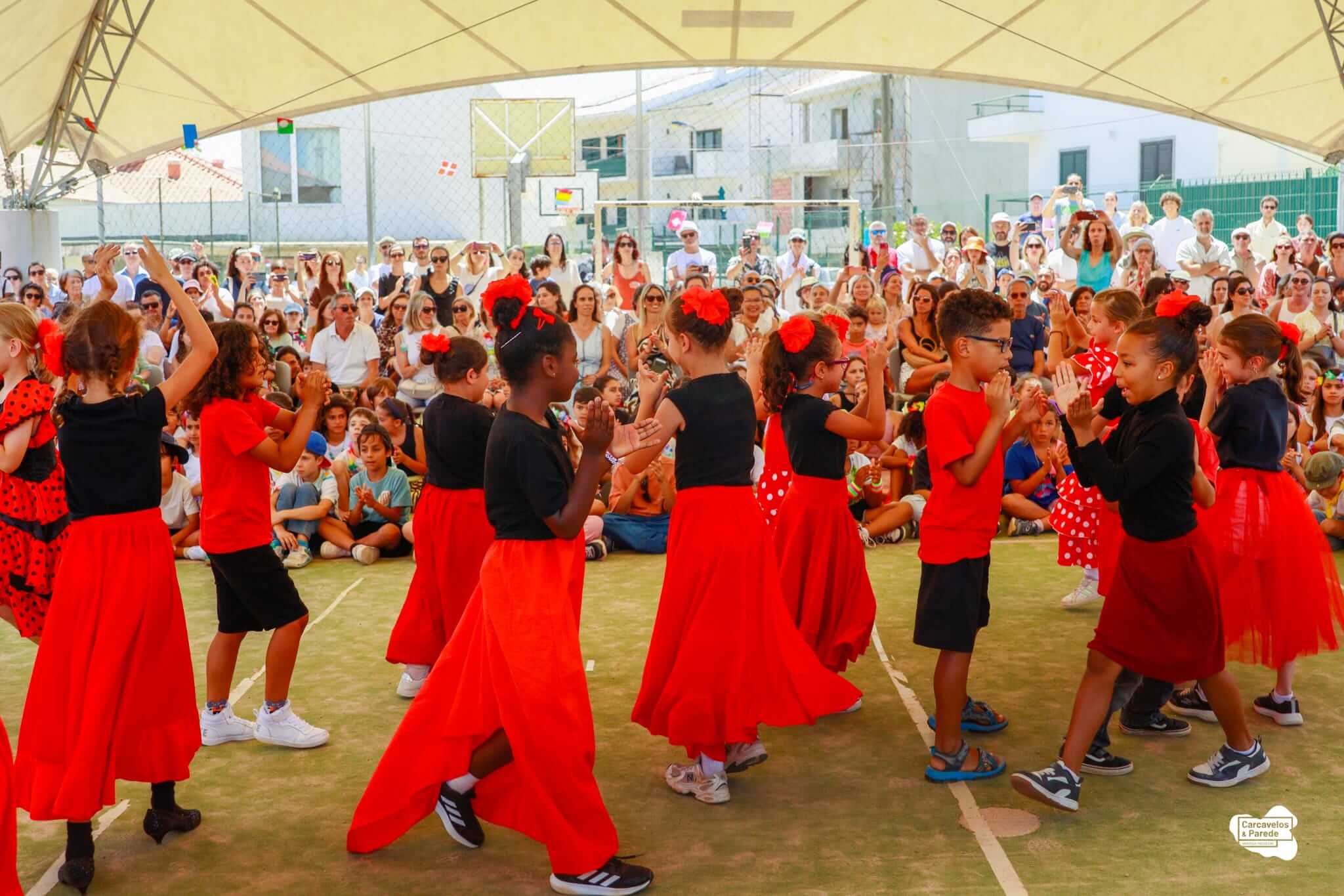 Festa de Final de Ano EB Afonso do Paço (3)