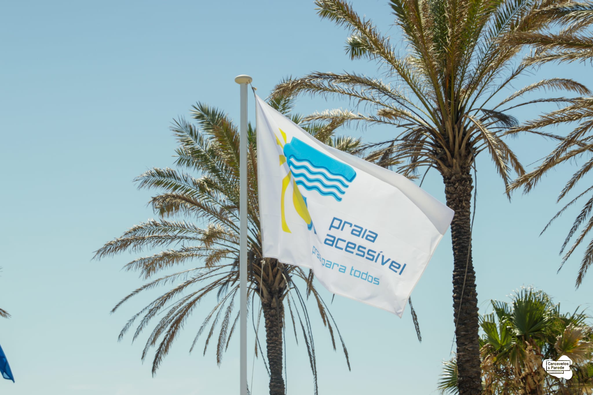 Bandeira Azul em Carcavelos e Parede (4)