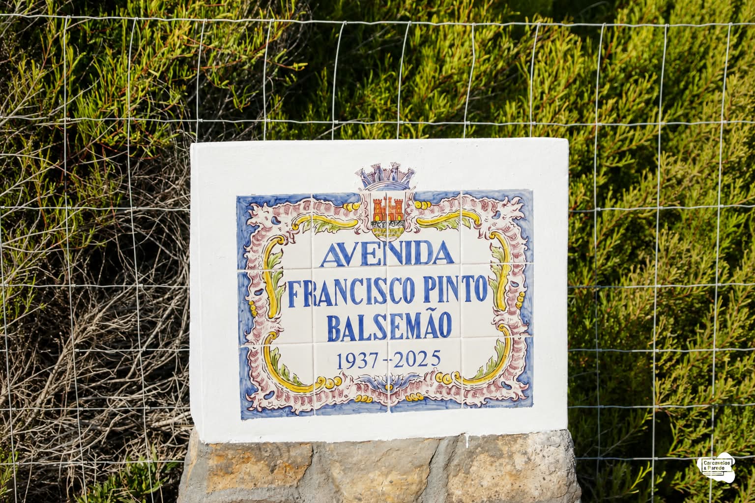 Avenida Francisco Pinto Balsemão - Homenagem em Cascais (1)