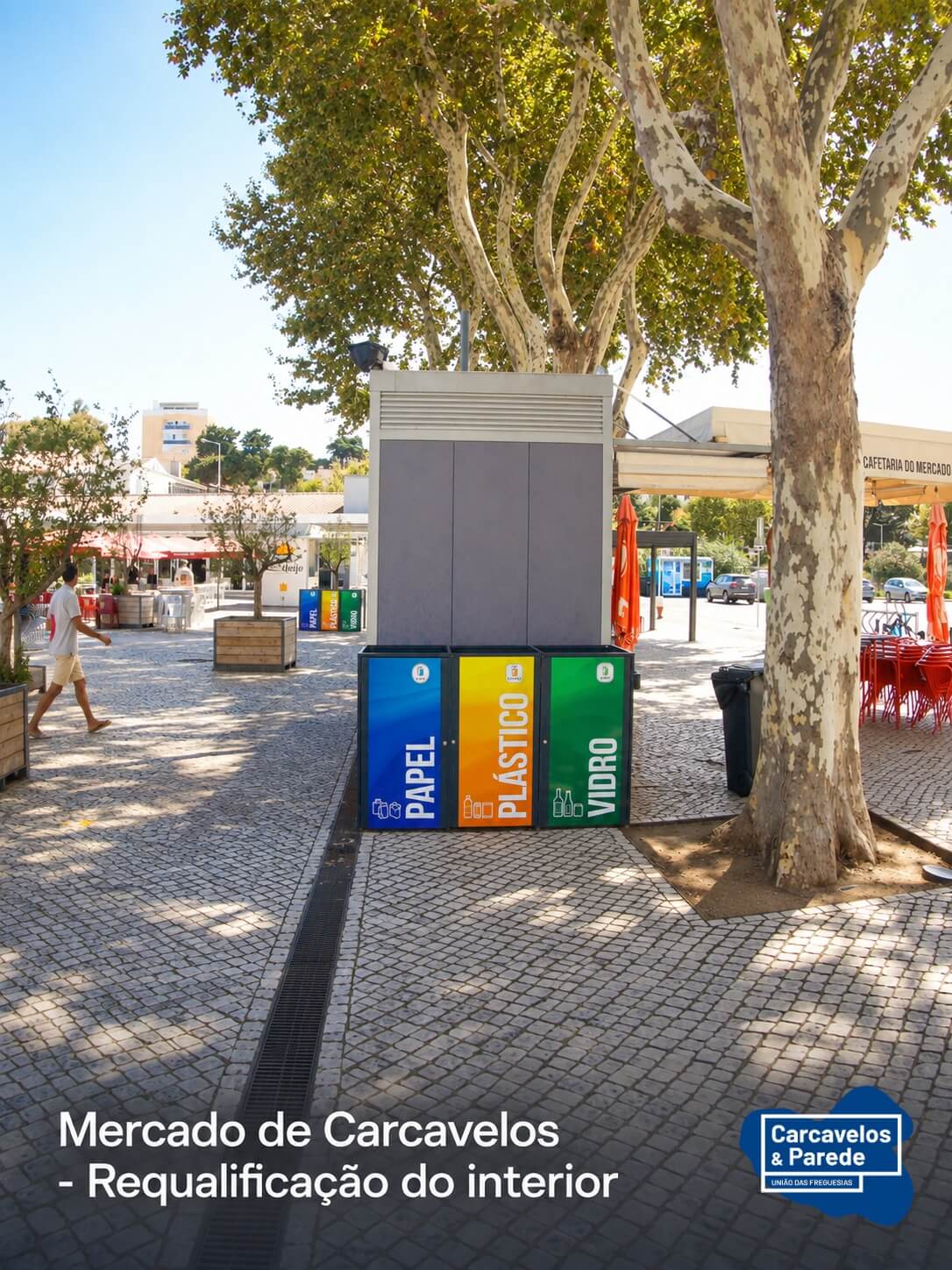 Estamos a renovar o nosso Mercado (3)