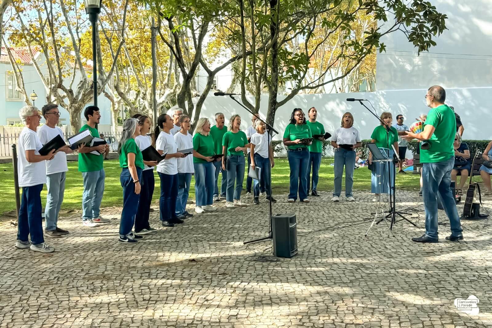 Músicas do Mundo encheram o Parque Morais (4)