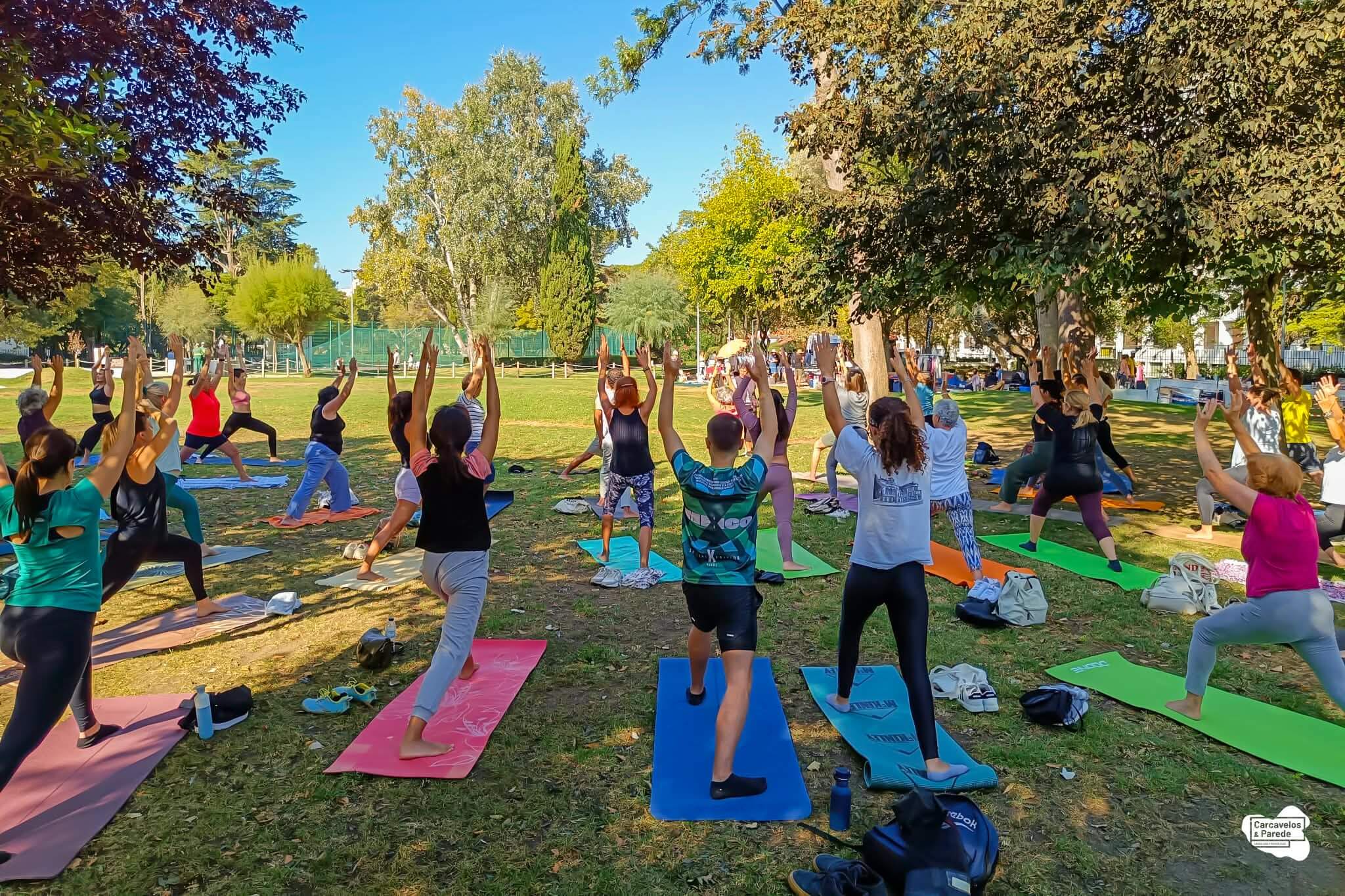 O Yoga está de regresso (1)