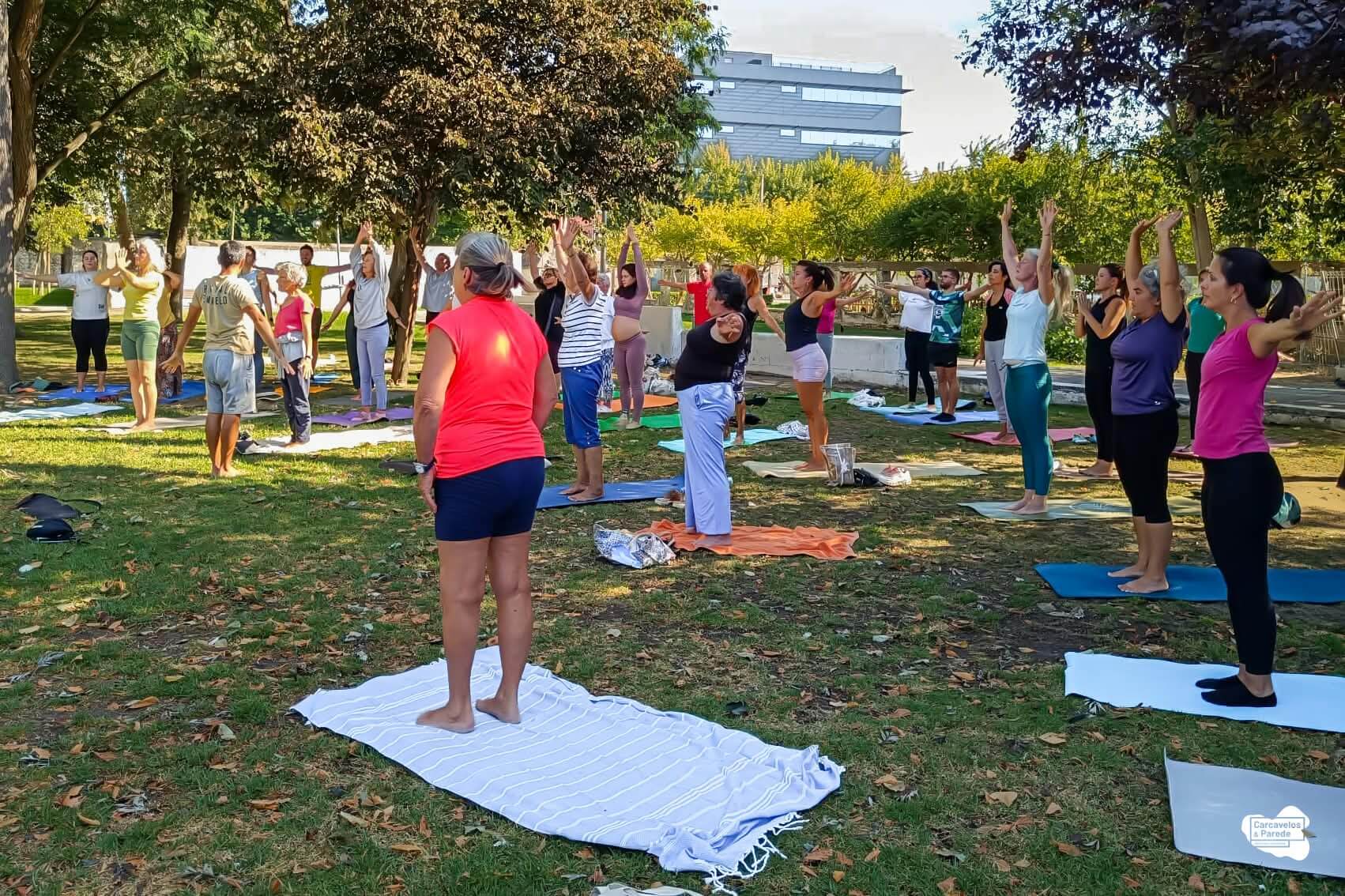 O Yoga está de regresso (2)