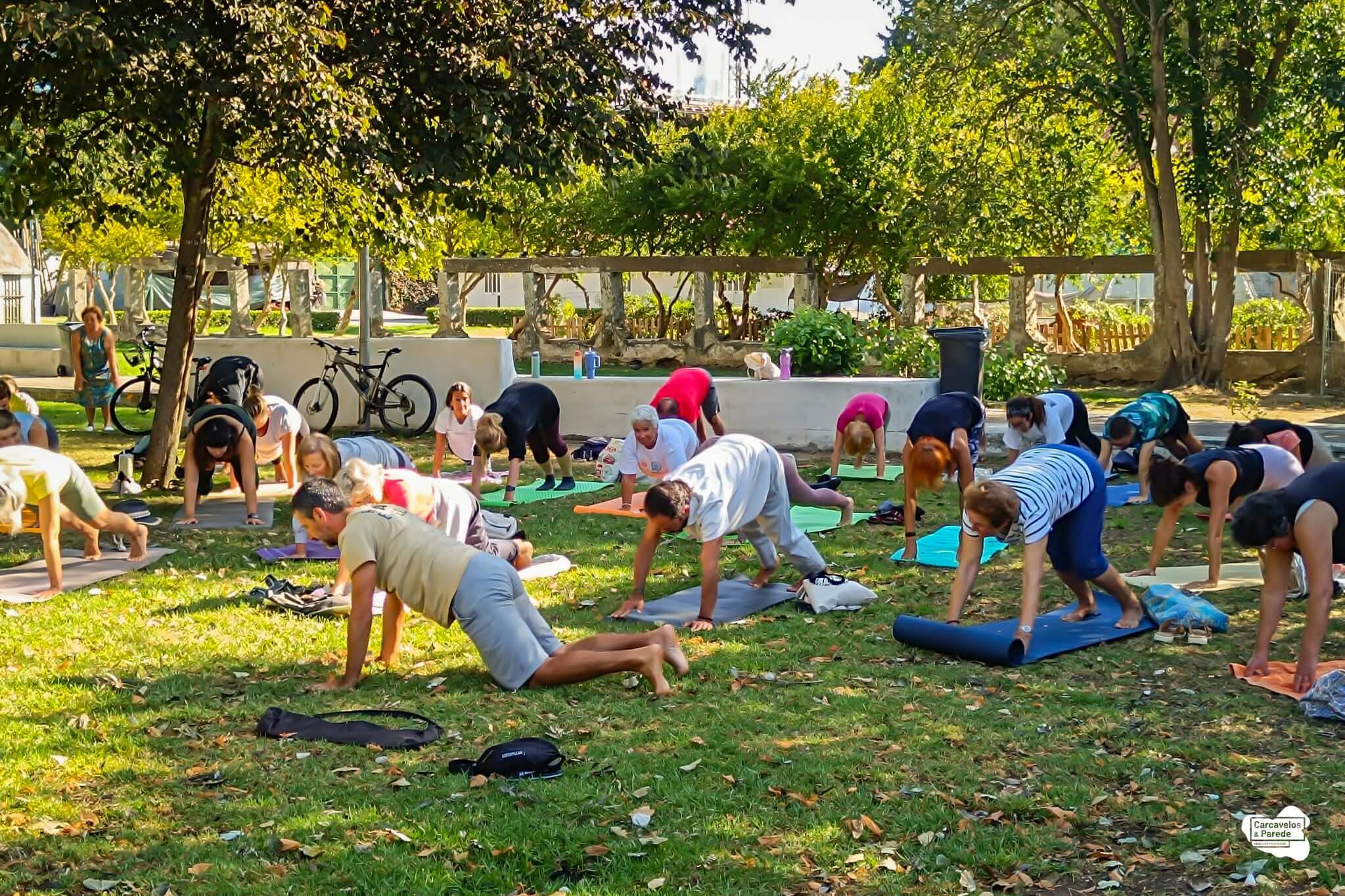O Yoga está de regresso (3)